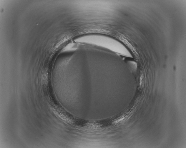 X0000087710207200705181853