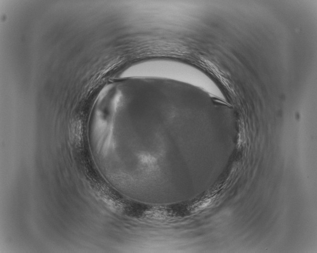 X0000087710211200705181853