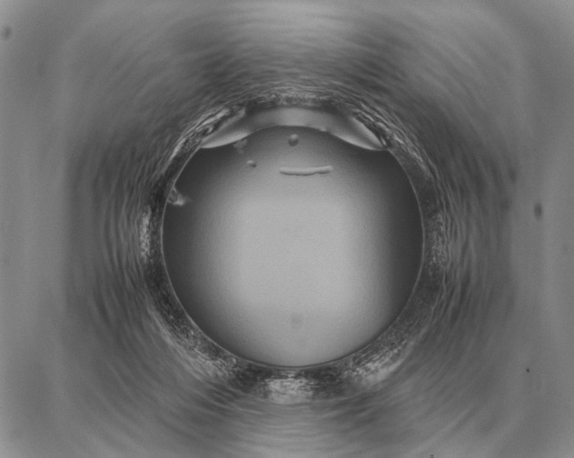 X0000087710216200705181853