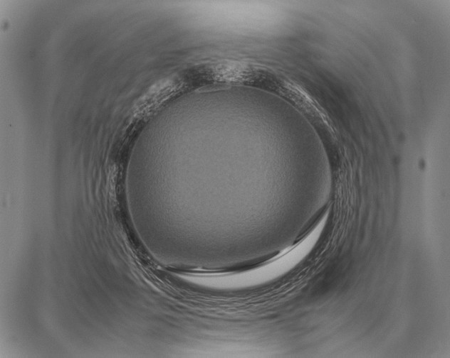 X0000087710217200705181853