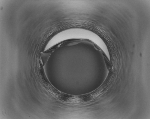 X0000087710219200705181853