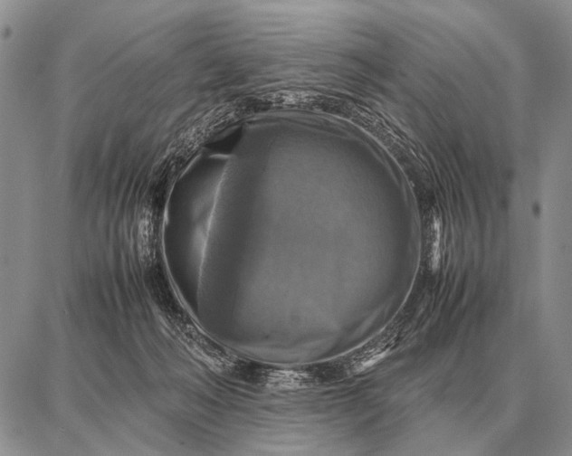 X0000087710222200705181853