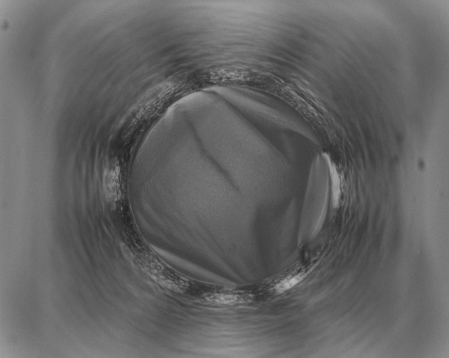 X0000087710224200705181852