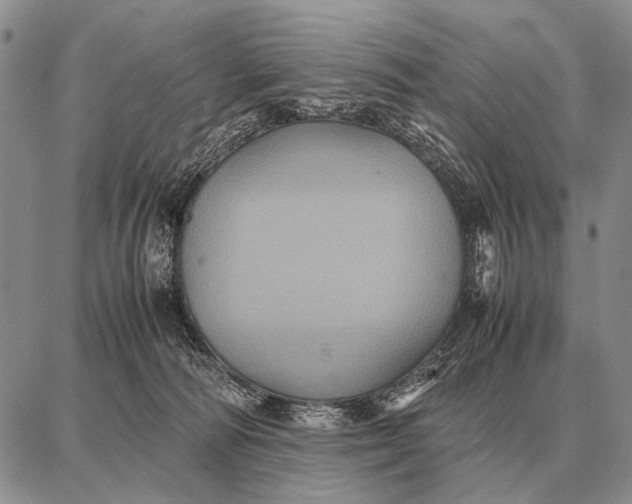 X0000087710226200705181852