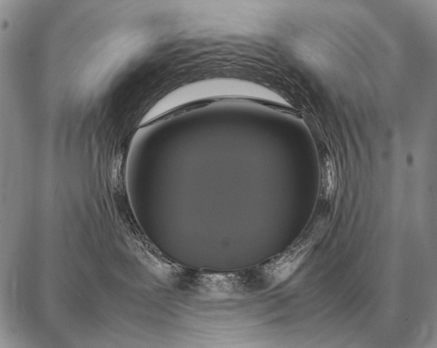 X0000087710239200705181852