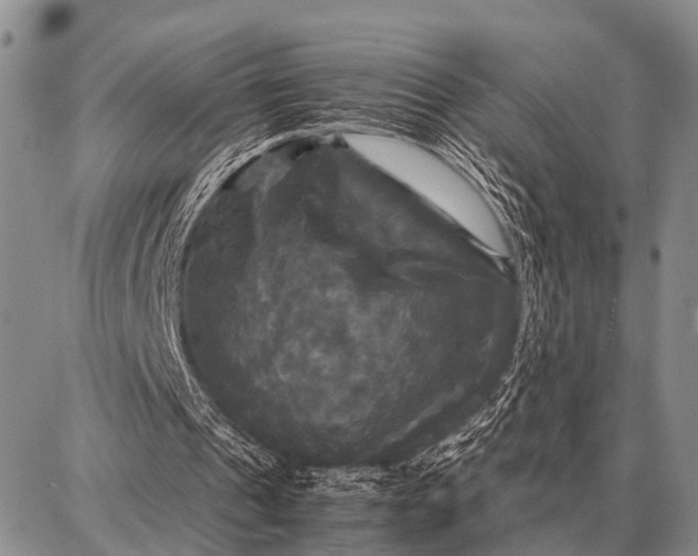 X0000087710241200705181851
