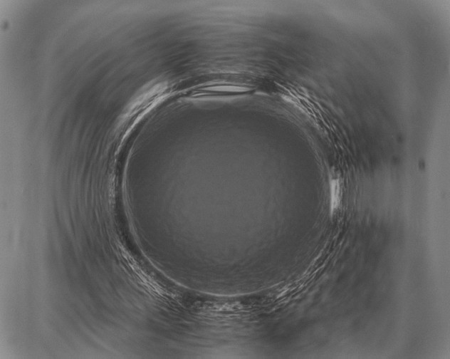 X0000087710243200705181851