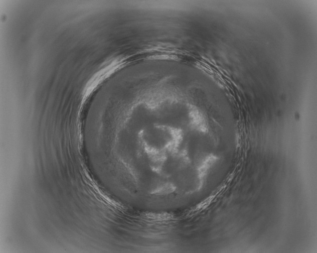 X0000087710245200705181852