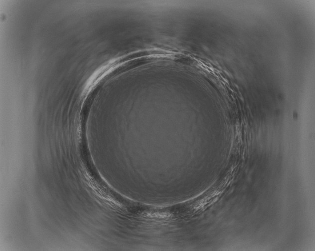 X0000087710247200705181852