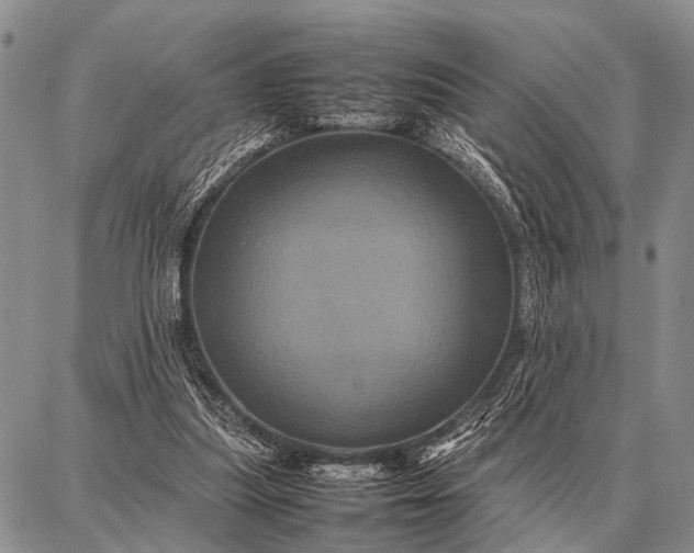 X0000087710251200705181852