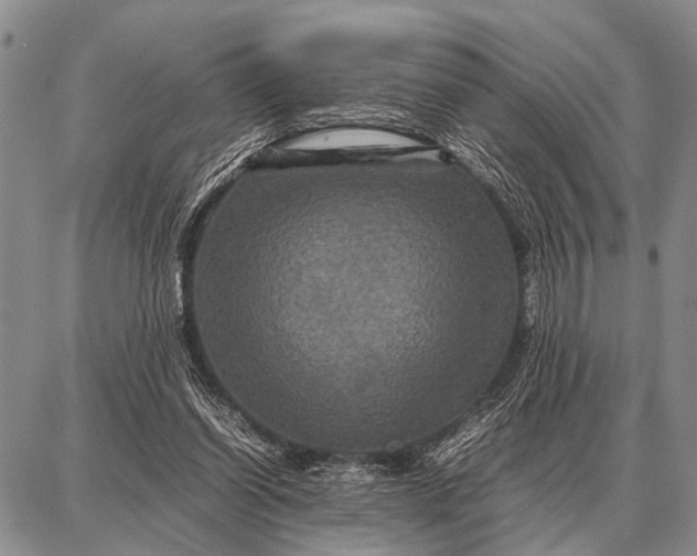 X0000087710254200705181852