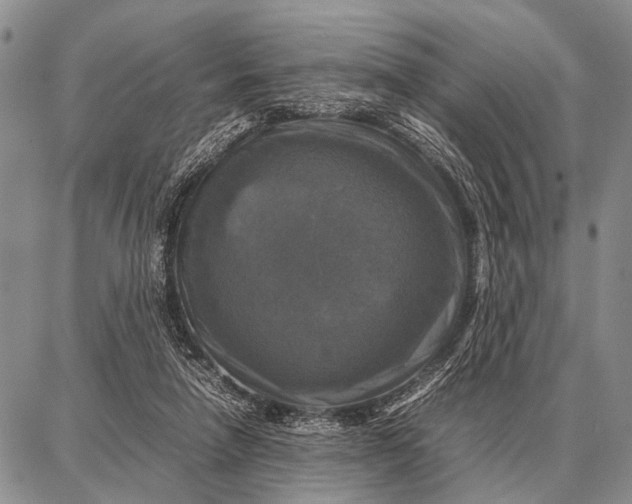 X0000087710258200705181852