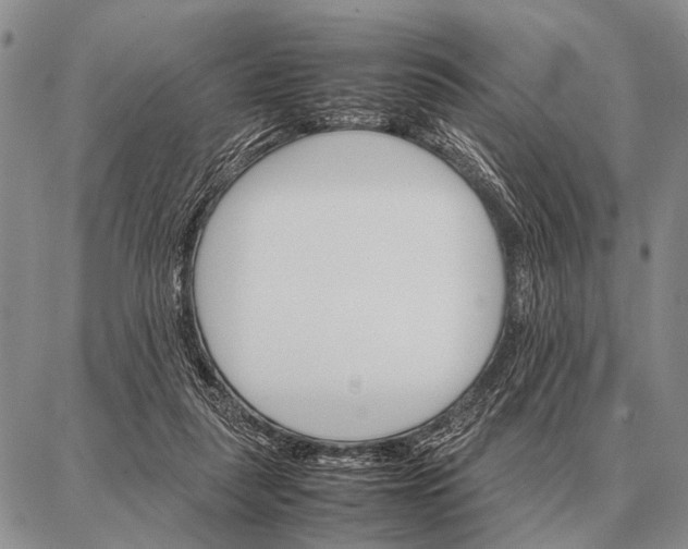 X0000087710259200705181852