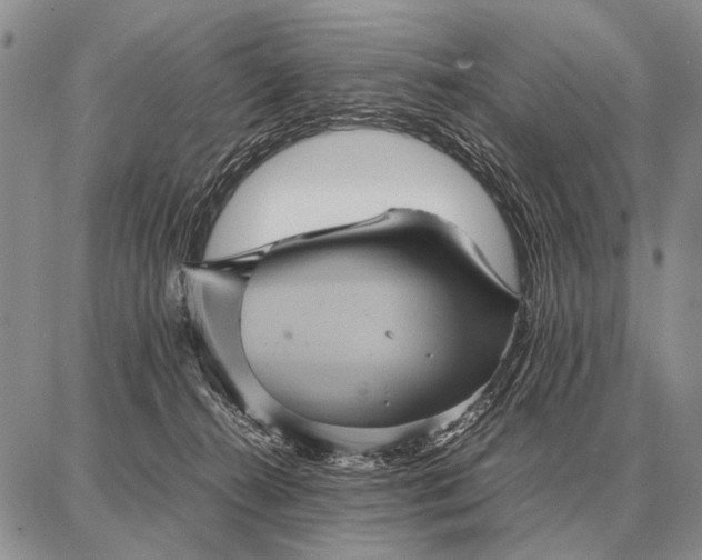 X0000087710272200705181852