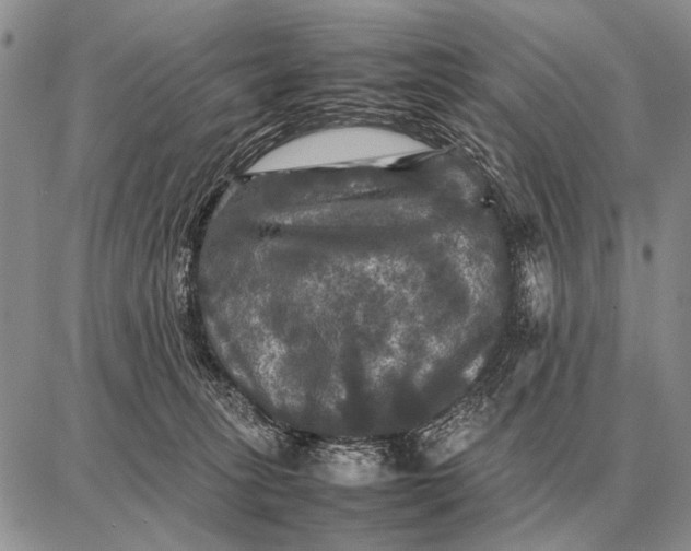 X0000087710275200705181852