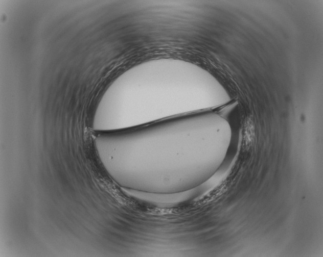 X0000087710276200705181852