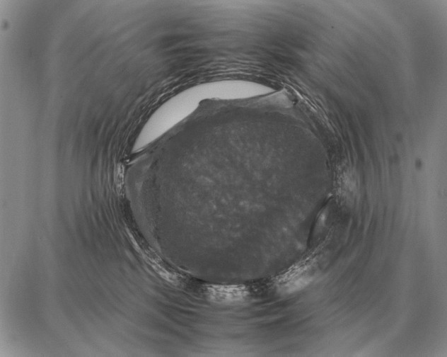 X0000087710281200705181852