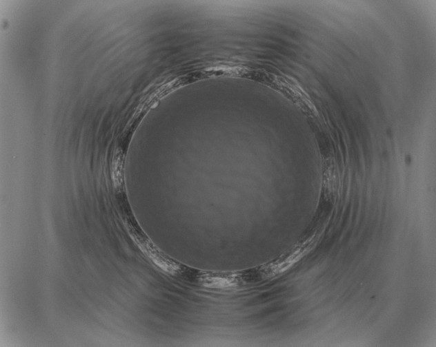 X0000087710285200705181852