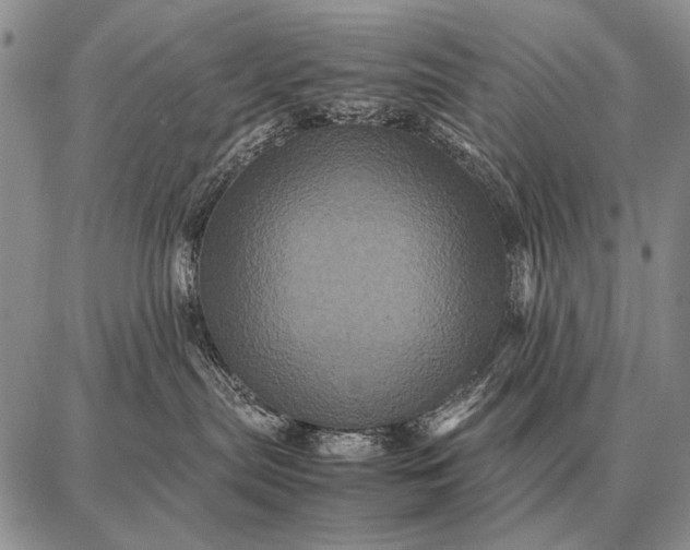 X0000087710287200705181852