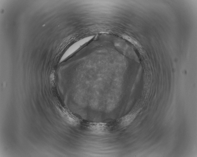 X0000087710288200705181852