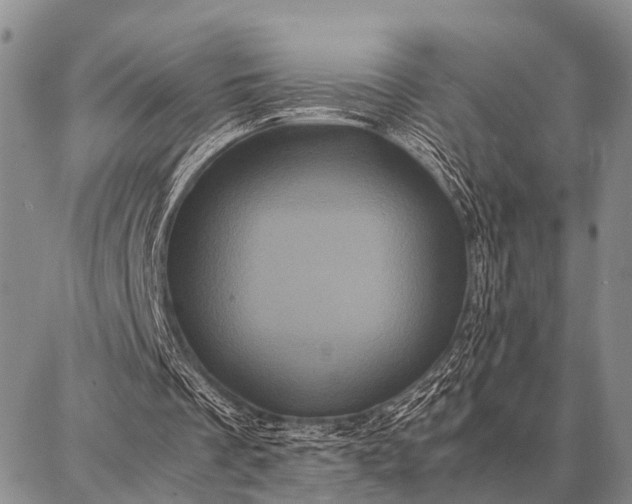 X0000087710289200705181851