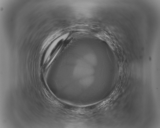X0000087710293200705181851