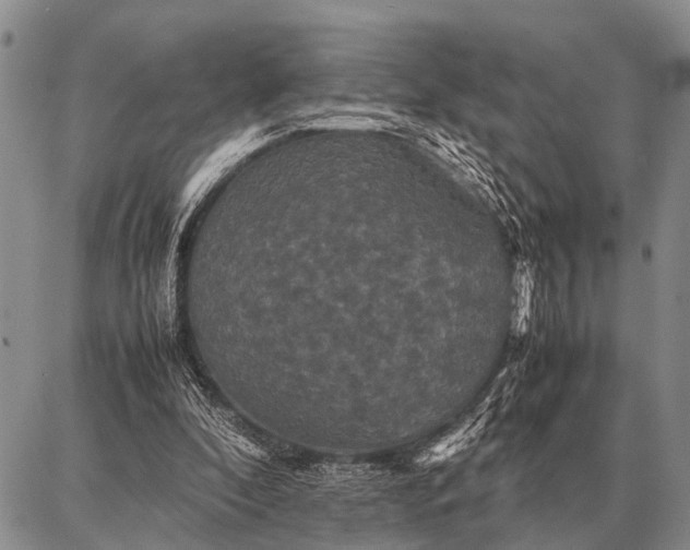 X0000087710296200705181851