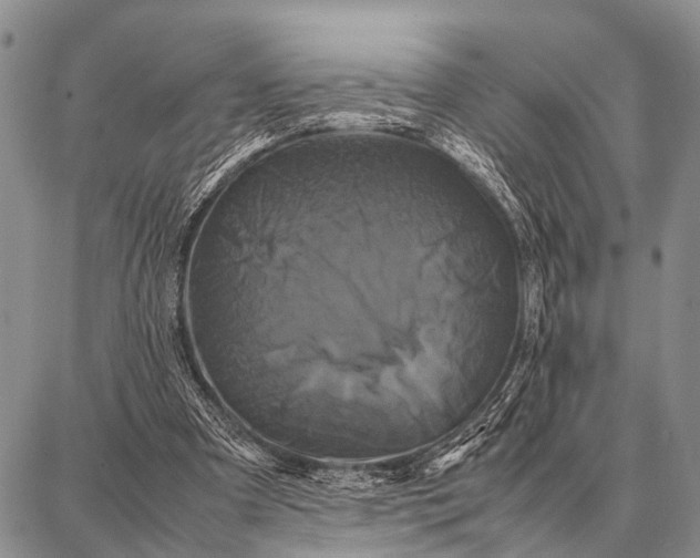 X0000087710297200705181851