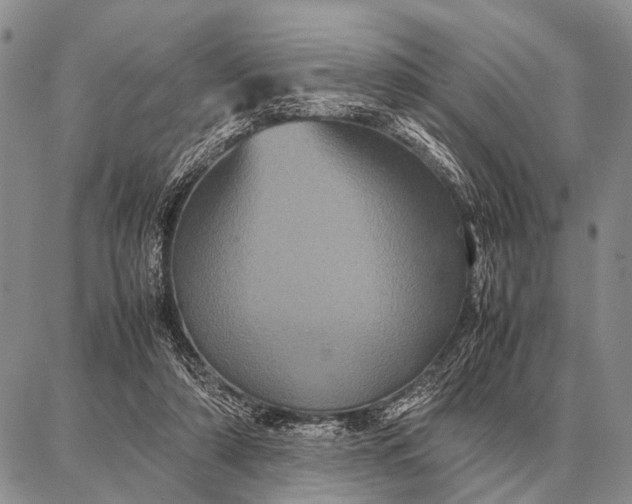 X0000087710306200705181851