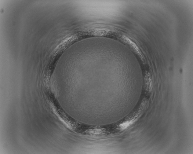 X0000087710307200705181851