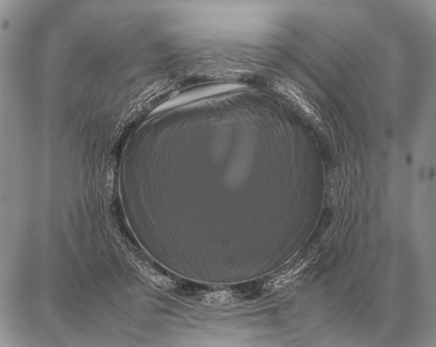 X0000087710309200705181851