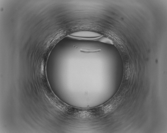 X0000087710310200705181851