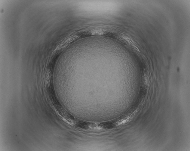 X0000087710311200705181851
