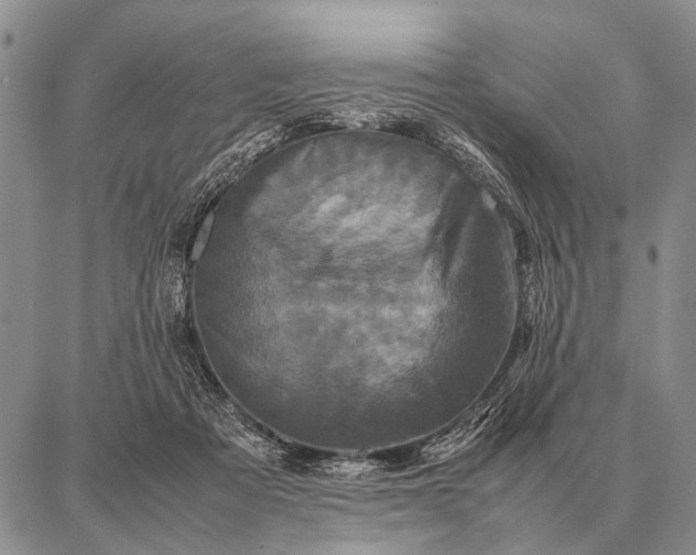 X0000087710313200705181851