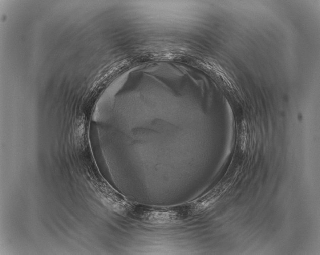 X0000087710314200705181851