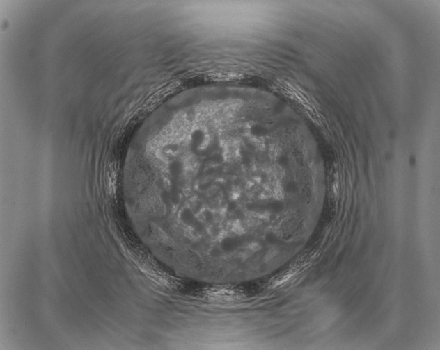 X0000087710315200705181851