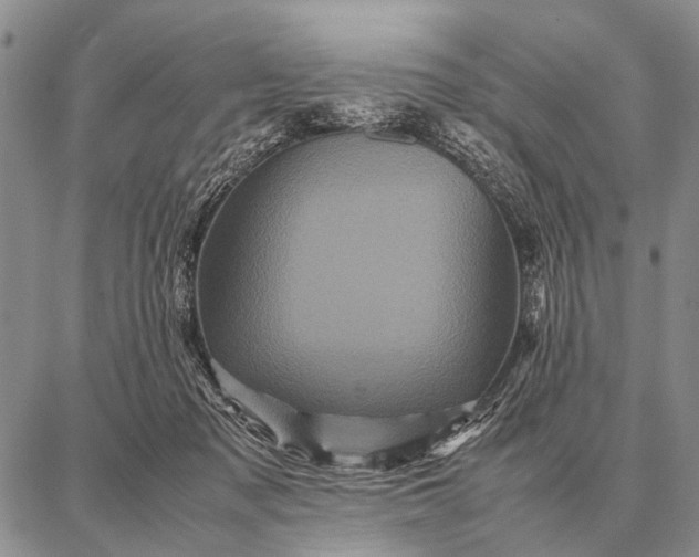 X0000087710317200705181851