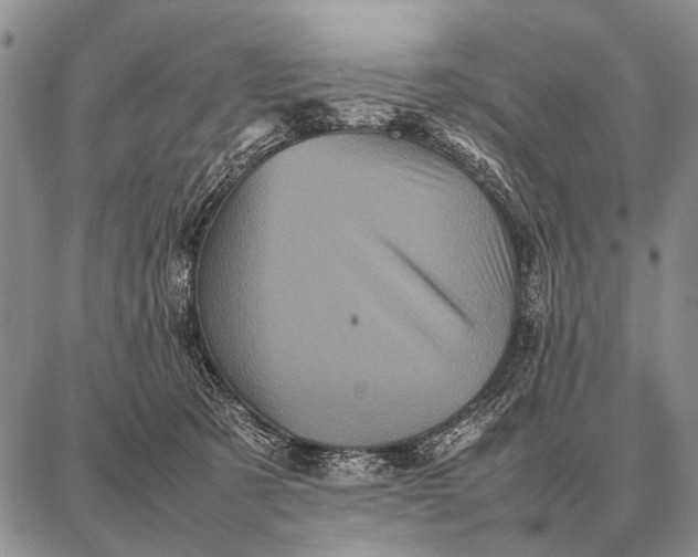 X0000087710321200705181851