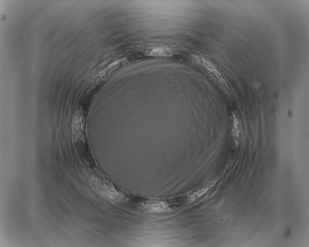 X0000087710322200705181851