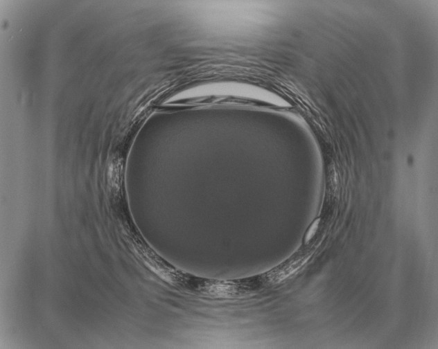 X0000087710325200705181851