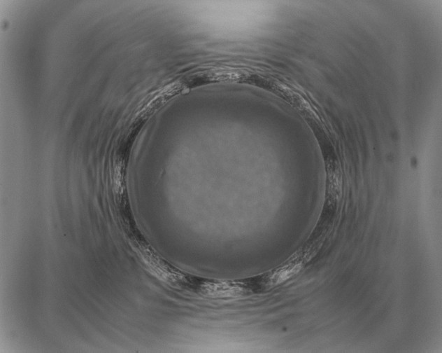 X0000087710331200705181851