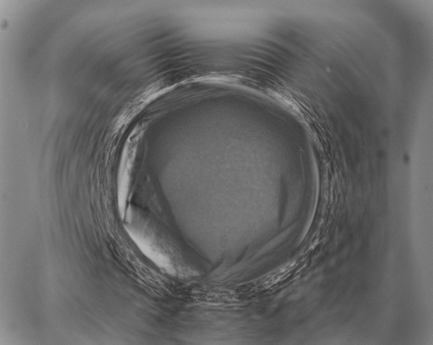 X0000087710337200705181850