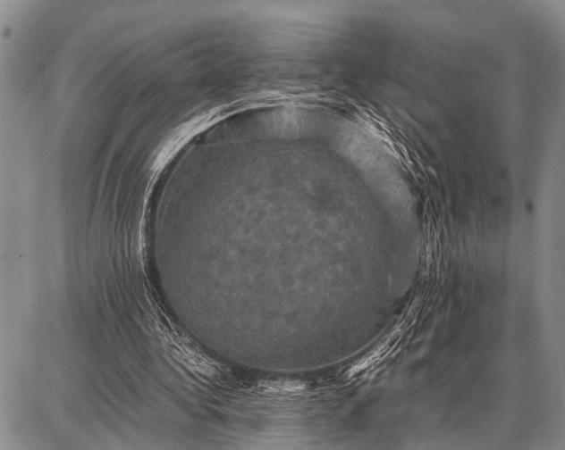 X0000087710340200705181850