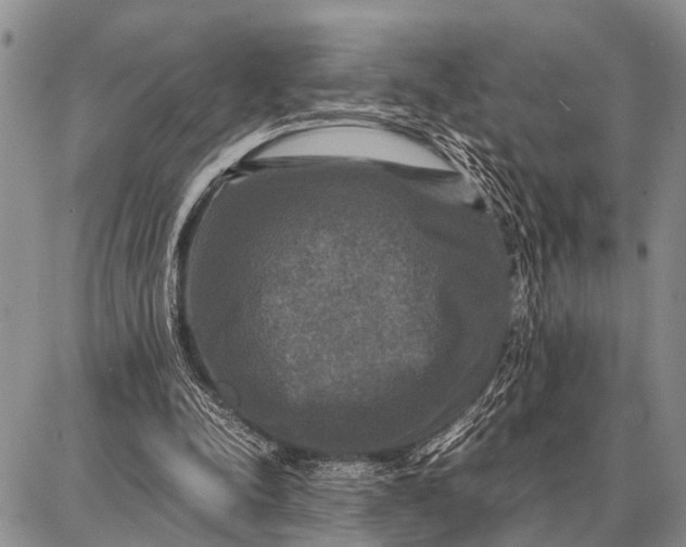 X0000087710342200705181850