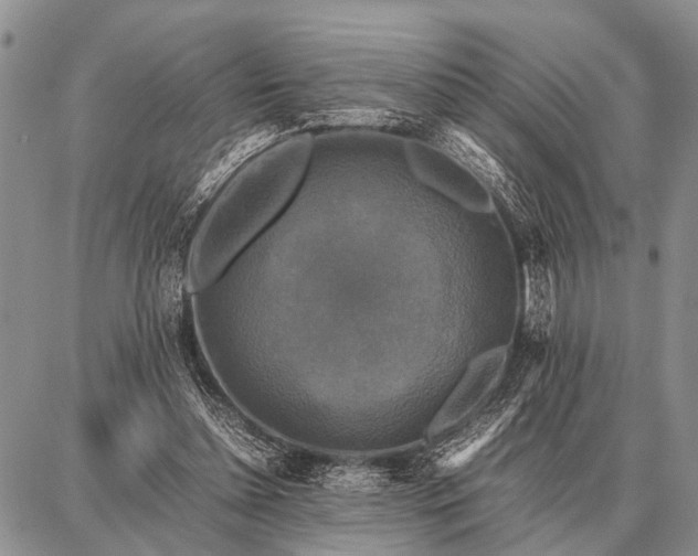 X0000087710348200705181850