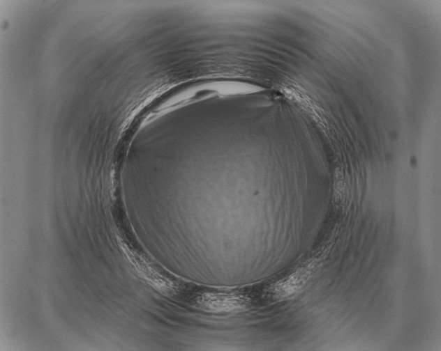 X0000087710351200705181850