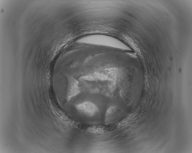 X0000087710354200705181850