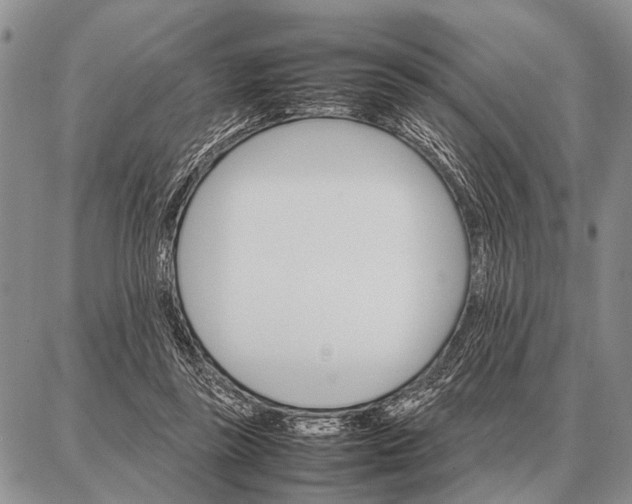 X0000087710355200705181850