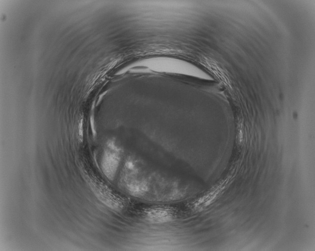X0000087710358200705181850