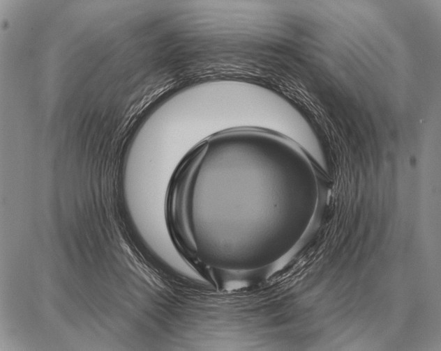 X0000087710360200705181850
